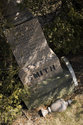 Smith Tombstone In The Trees