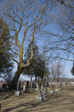 Tweedside Cemetery