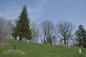 View West Flamborough Municipal Cemetery