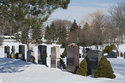 Rows of Burials