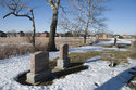 Cemetery Amidst The Poplars