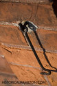 Rusted Metal Hinge