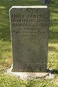 James Fawcet From Newcastle England Plot