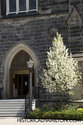 Entrance And Flowering Tree Infront Of Church